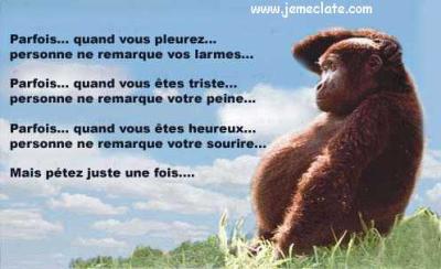 mdr ^^